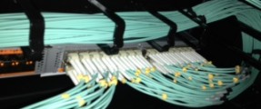 Picture of an MS Networks large cable installation - fibre optic termination in cabinet